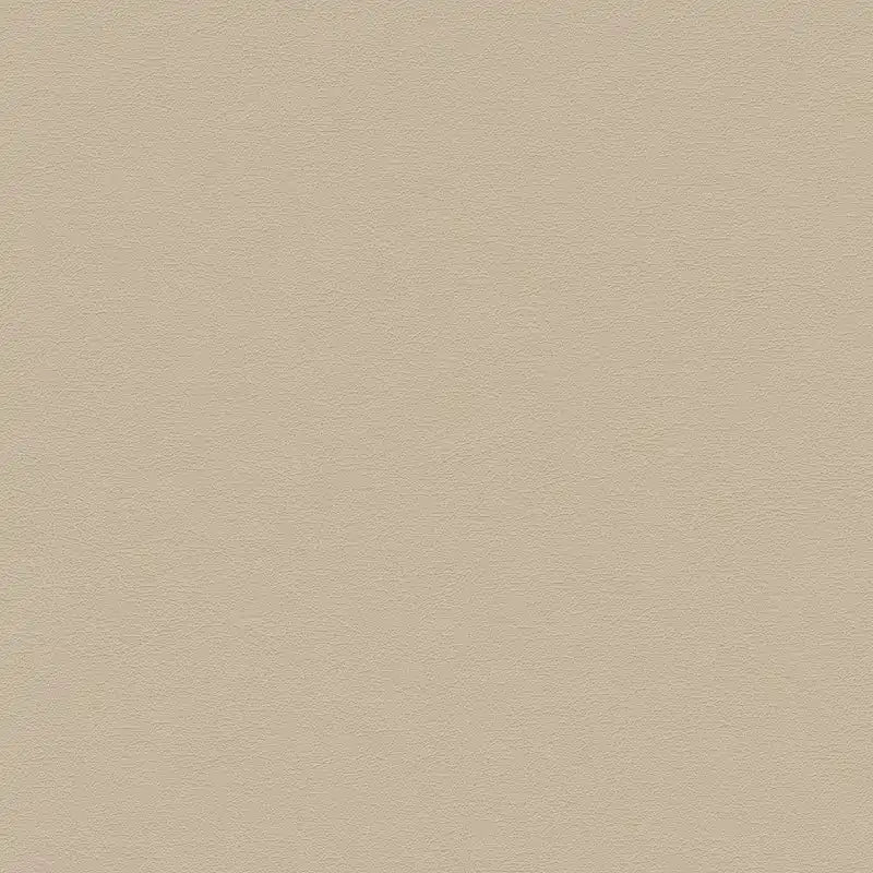 Arden Lane Mid Back Tufted Office Chair